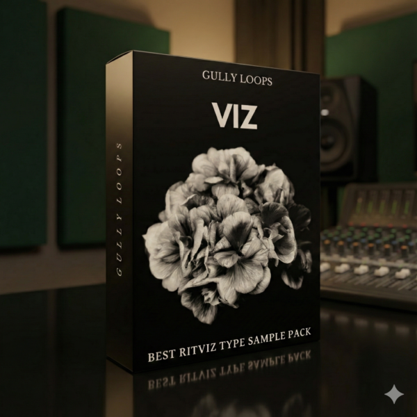 Viz Sample Pack – Indian Fusion EDM Toolkit
